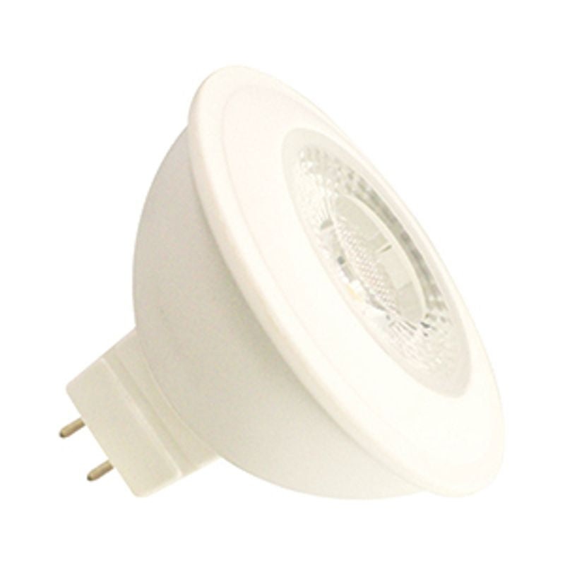 Light Bulb in White