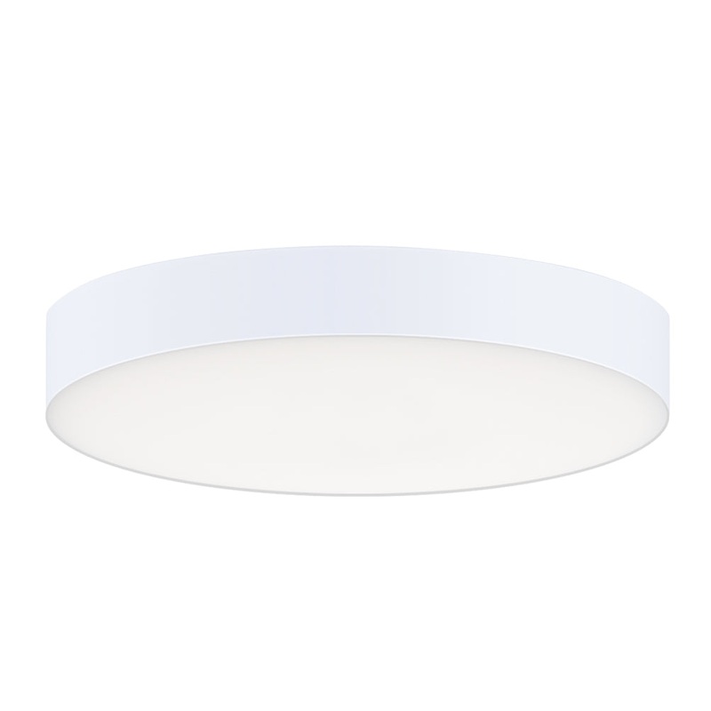 Trim LED Flush Mount in White