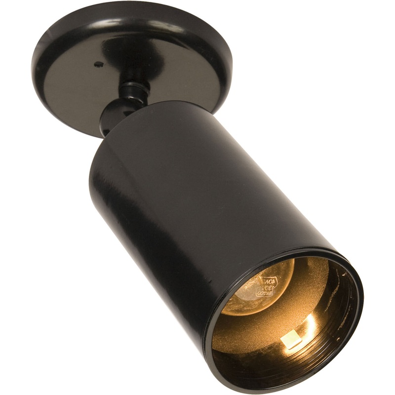 Spots One Light Flush Mount in Black
