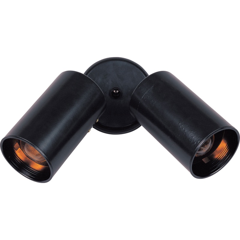 Spots Two Light Flush Mount in Black