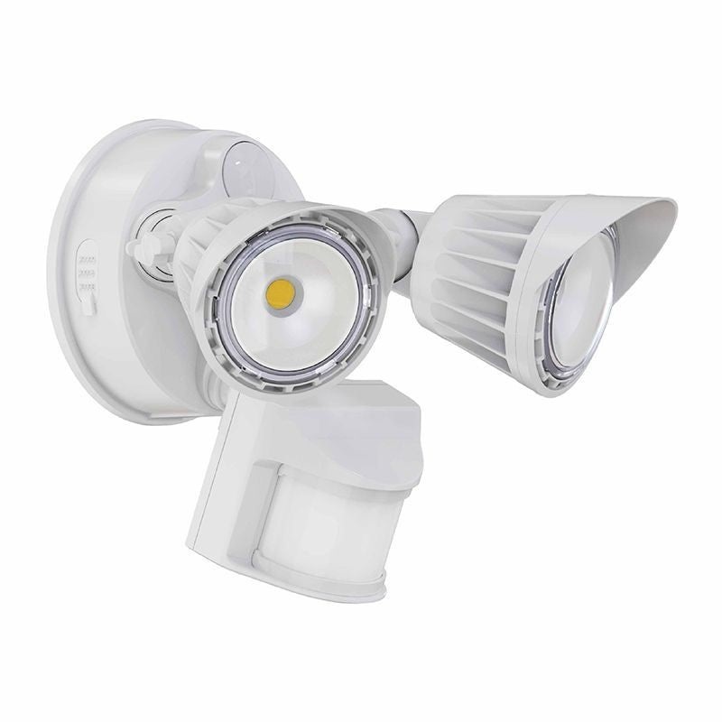 Security Light in White