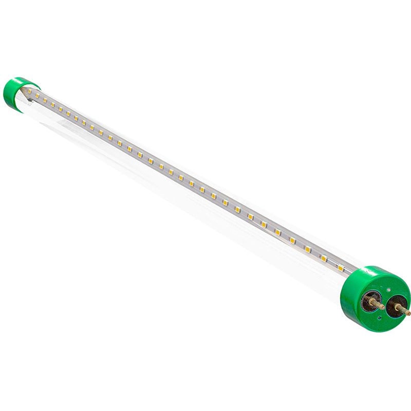 LED T8 2Ft in Clear