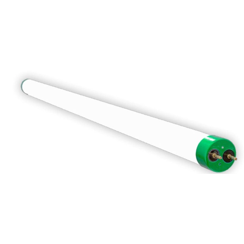 LED T8 2Ft in Frosted