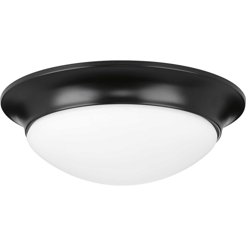 Etched Opal Dome Two Light Flush Mount in Black
