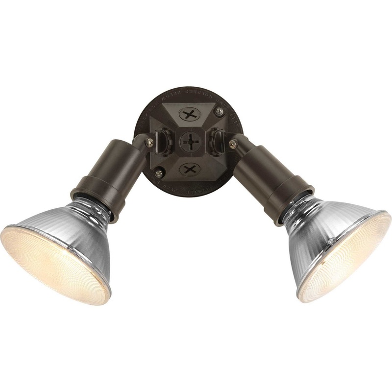 Par Lampholder Two Light Adjustable Swivel Flood Light in Antique Bronze