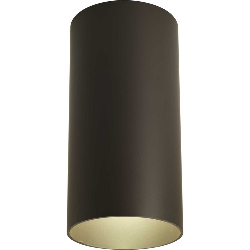 Cylinder One Light Outdoor Ceiling Mount in Antique Bronze