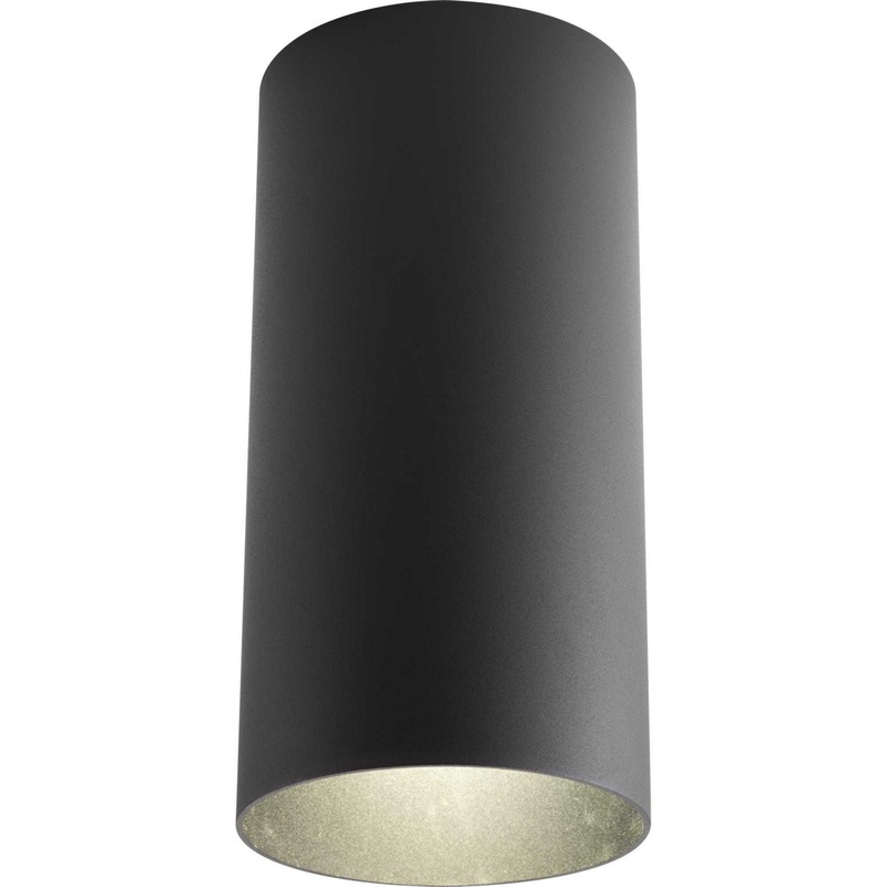 Cylinder One Light Outdoor Ceiling Mount in Black